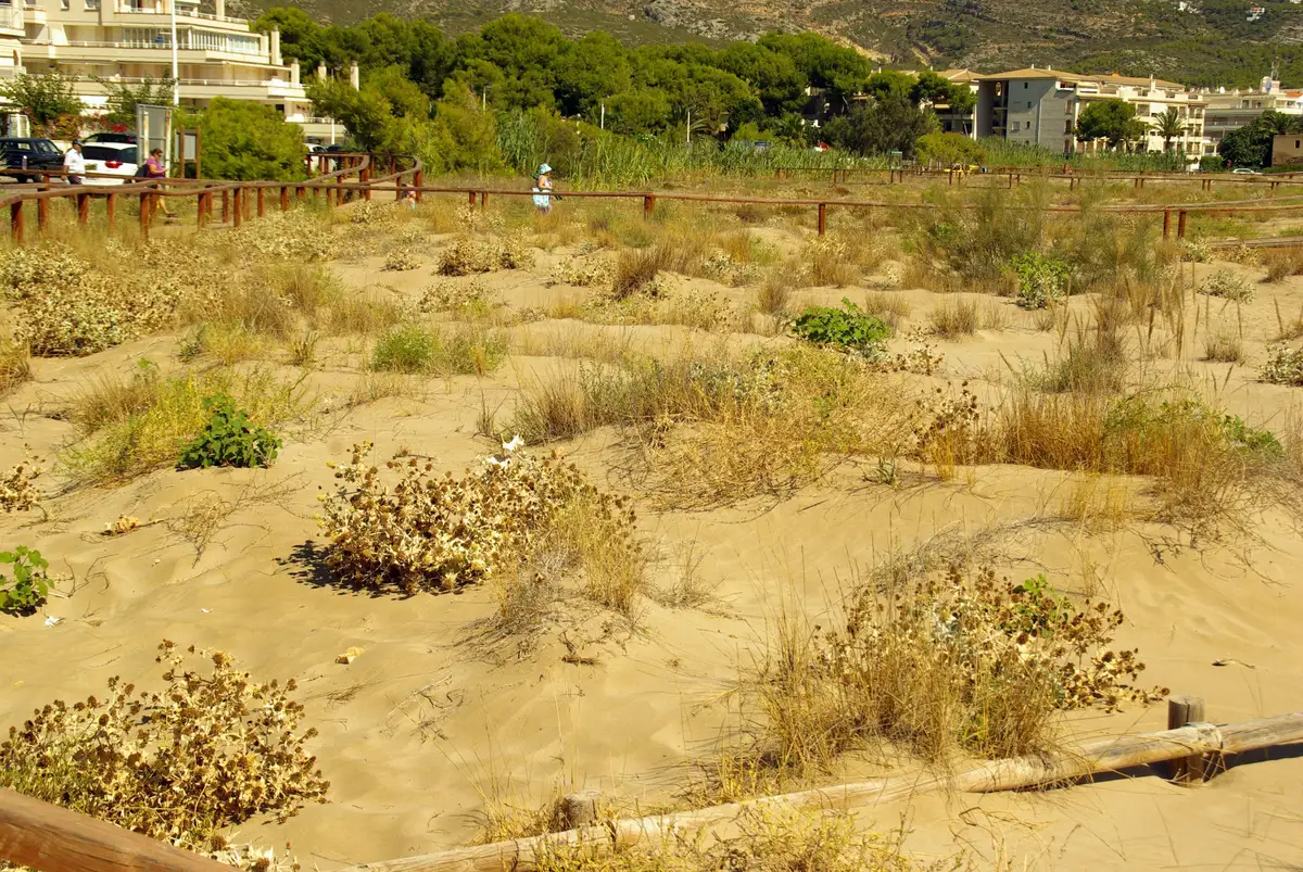 Passerelle et dunes de la plage du Cargador, près de la Résidence L'Atall à Alcossebre
