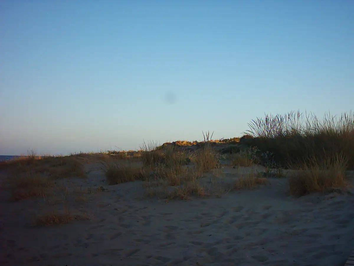 Dunes de la plage du Cargador à Alcossebre, près des appartements Irta Playa