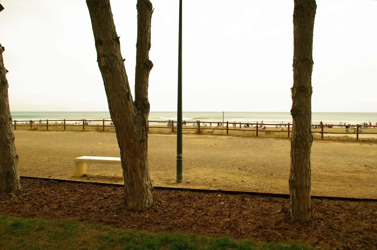 Promenade et pinède de la plage du Cargador, près de la résidence Neptuno à Alcocéber