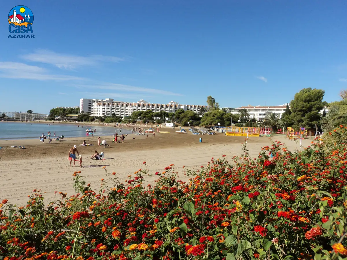 Plage de Las Fuentes à Alcossebre, avec des fleurs au premier plan et les immeubles de la baie au fond